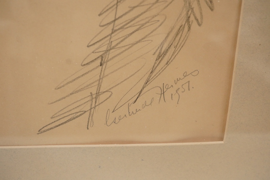 Gertrude Hemes, Studies of chimpanzees, signed and dated 1957, pencil, 35 x 25cm